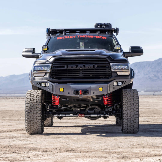 affordable bumper