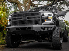 2015-2017 FORD F-150 ECO SERIES FRONT BUMPER