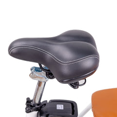 NAKTO Elegance 2 eBike