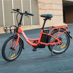 NAKTO PONY