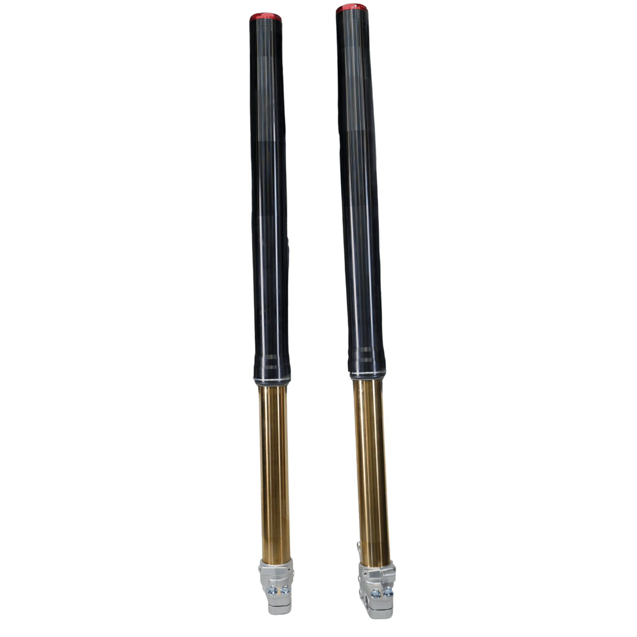 AL EXE Front Forks (Arctic Leopard OEM)